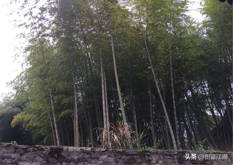 黄梅佛教在中国地位,黄梅禅宗之源