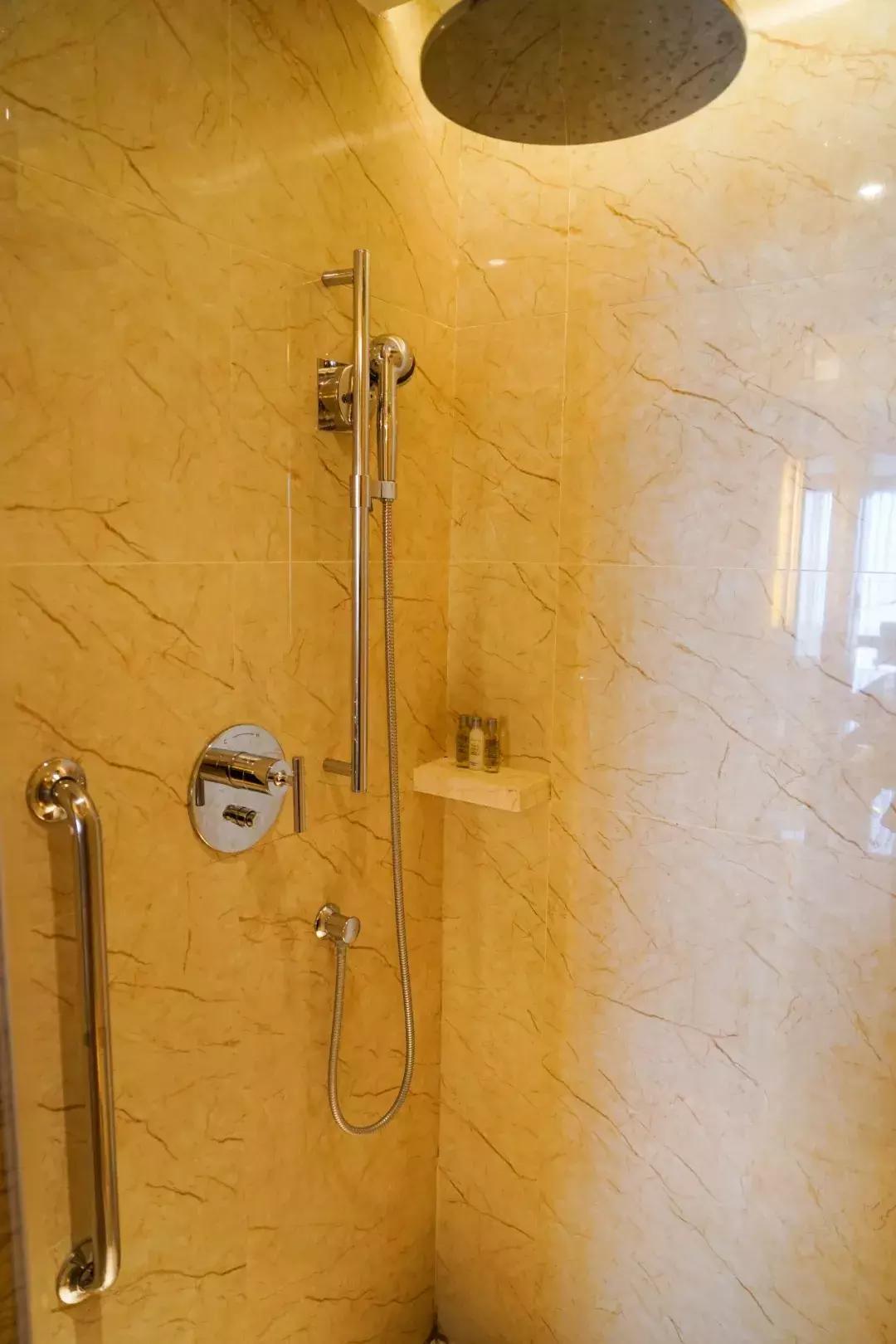 「思远说酒店」汉*江阳**滩繁华地——世茂希尔顿