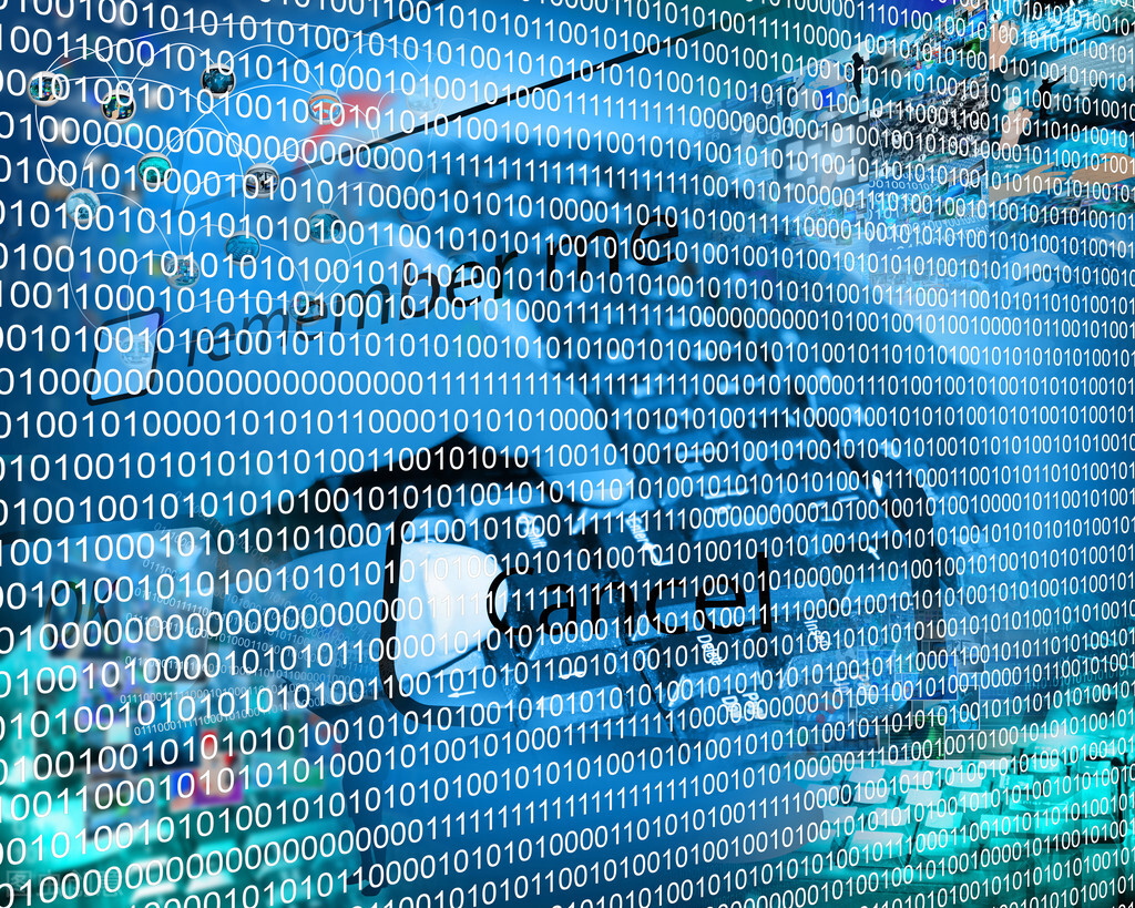 厦门大学大数据技术原理与应用,大数据技术原理与应用