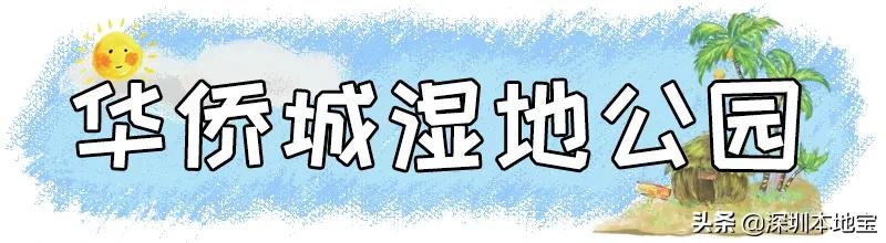 深圳有哪些地方免费景点,深圳都有什么景点免费游玩