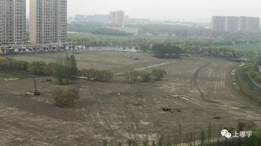 上海2020新增学位,上海各大学2024新增学位点