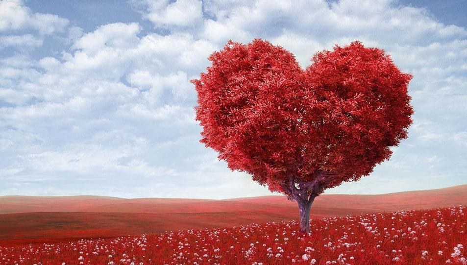 关于爱情的真心话100个问题扎心,关于爱情的101个真心话完整