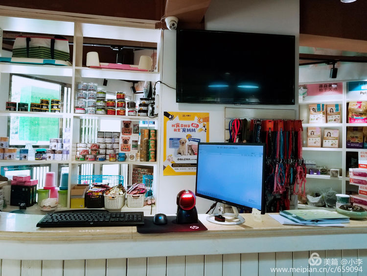 珠海猫猫宠物会所服务商,珠海宠物矫正训练