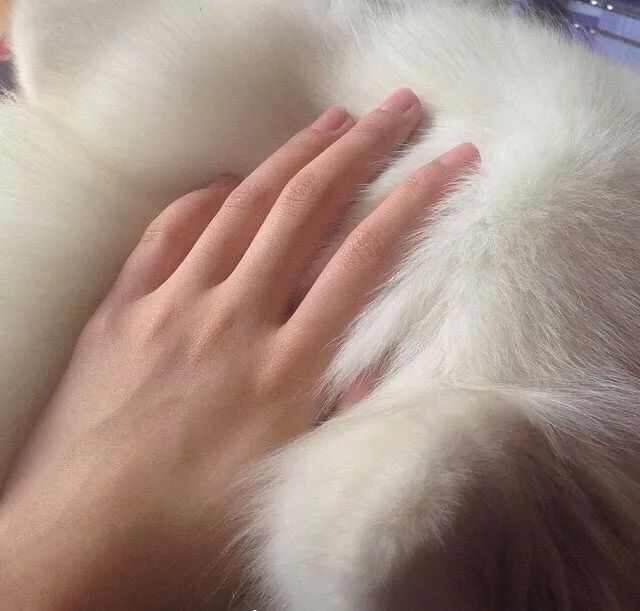 再年轻的脸也挡不住“奶奶”手，隐藏年龄的秘密，全靠这一只