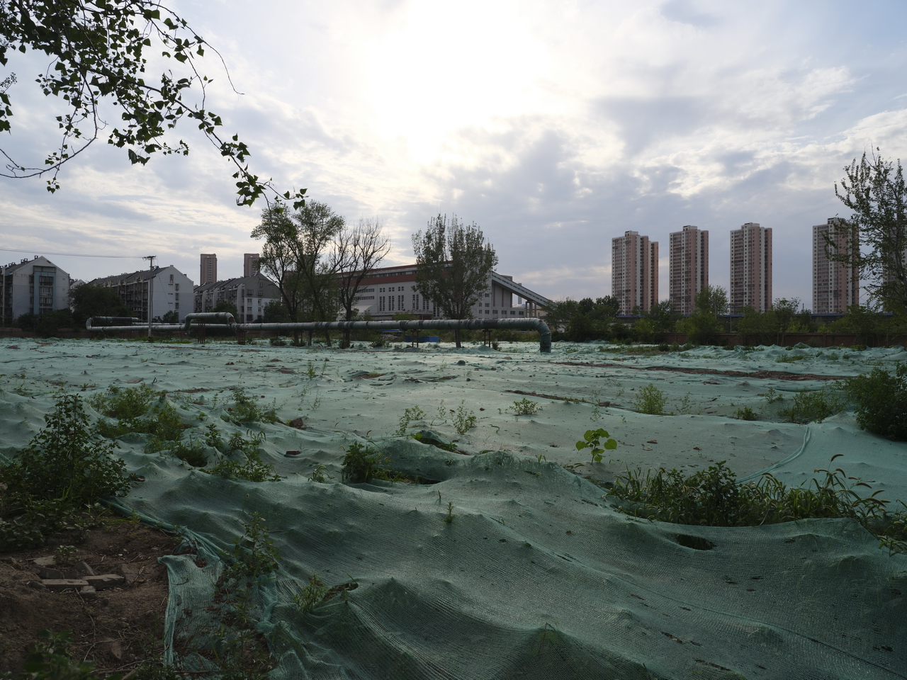 天津动力机厂下岗职工,天津动力机厂在哪