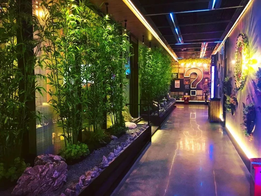 清远地标级KTV，坐拥网红时光隧道，还把热带雨林搬了过来