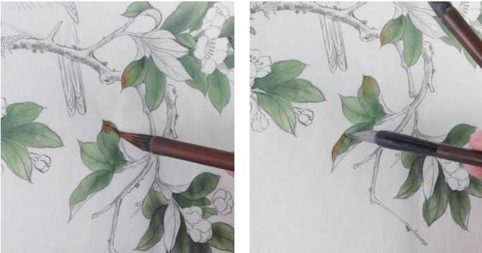 蜡嘴雀工笔画,蜡嘴鸟画画教程