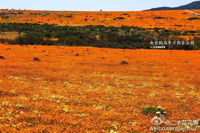 澶氳倝澶х浜屾湪,澶氳倝杈句汉浜屾湪