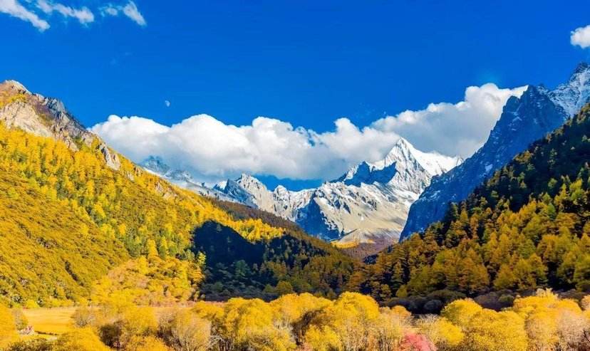 自然之美陶冶人的心灵,用心去感受自然之美