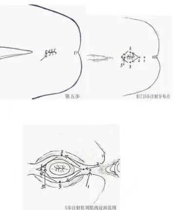 罗碧华:济川医学的传承者,心有锦缎的学术派