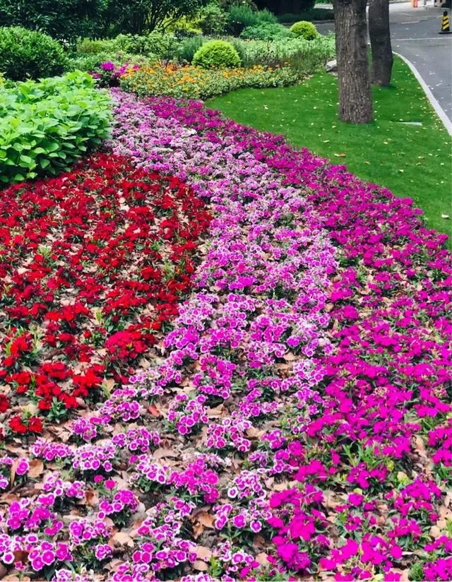 有时候使人疲惫的不是远方的高山,让人疲惫的不是远山而是鞋里的沙