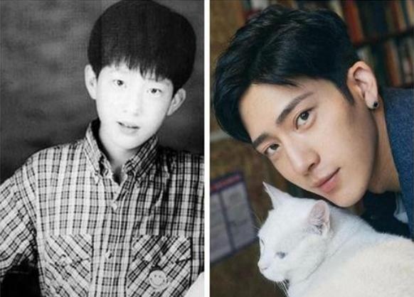 井柏然全靠奶奶捡破烂,井柏然被奶奶捡垃圾养大