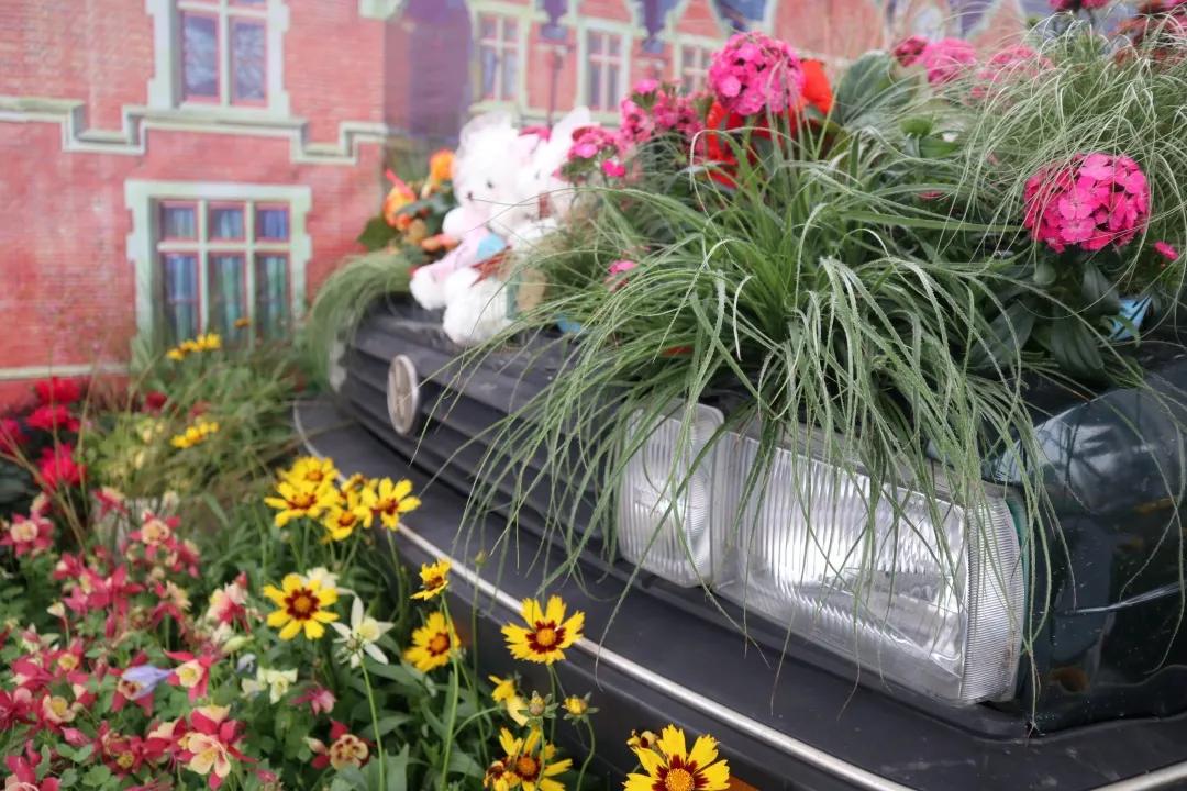 花展的意义,花展布展情况介绍