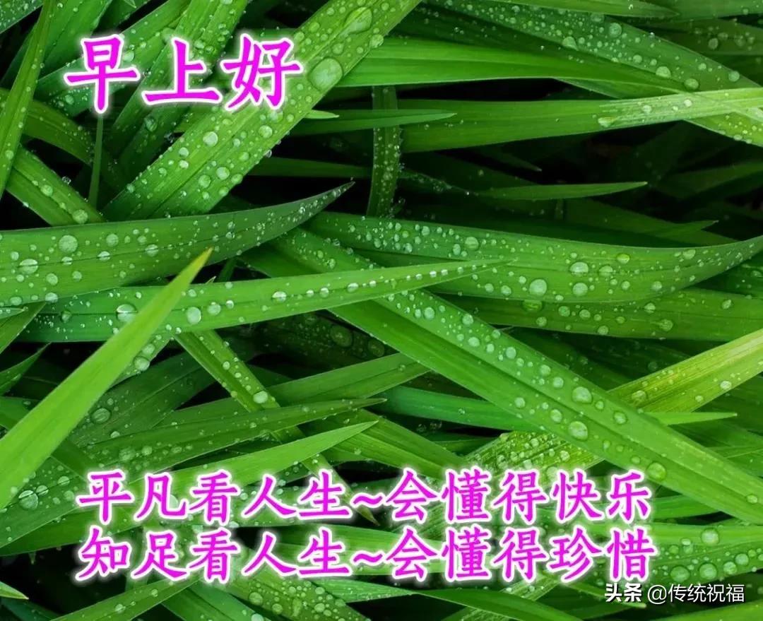 走得太急脚太累女生完整版说说,心累了早安