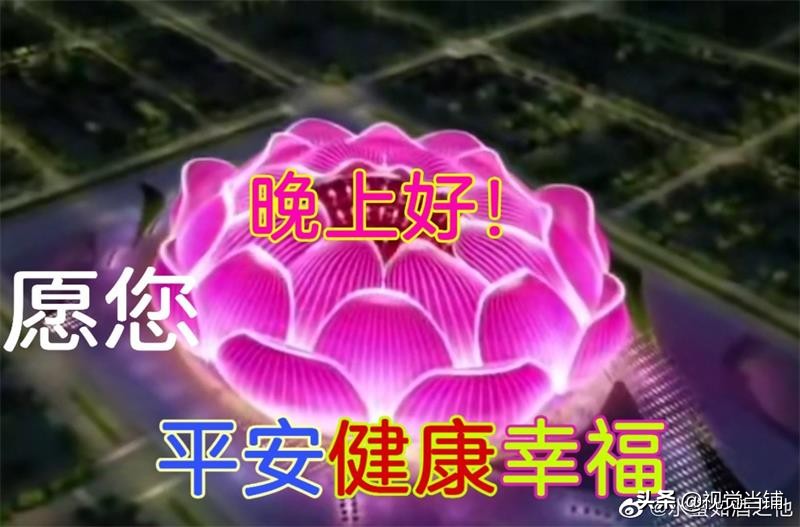 莲花足球场谁设计的,莲花足球场原稿