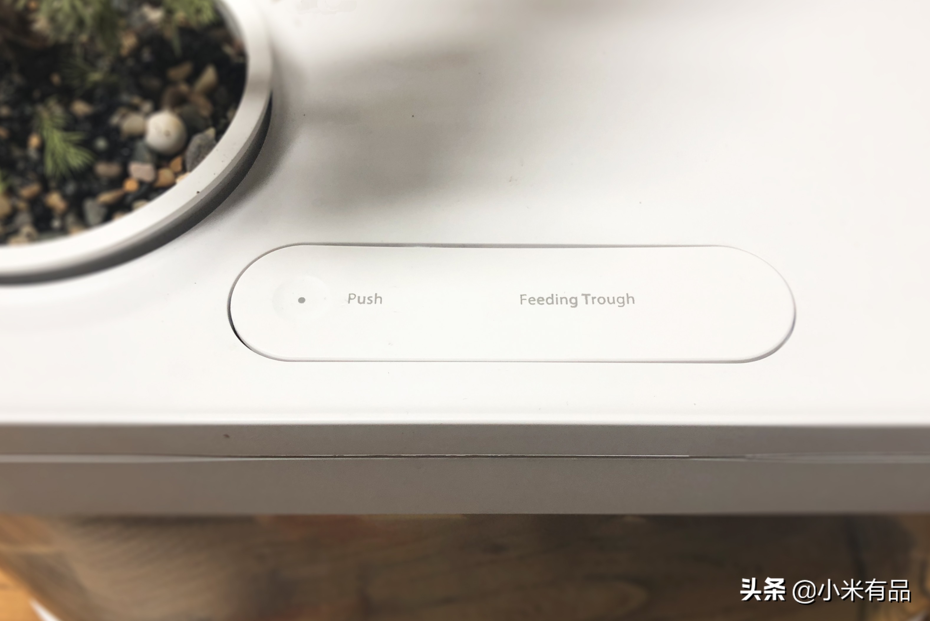 小米两栖生态鱼缸图片,小米生态小鱼缸