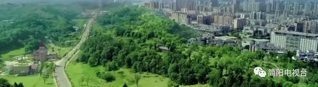 中医医院康复治疗中心项目简阳,简阳康复中心