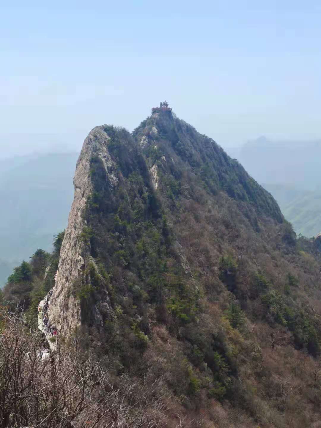 游厦门散文,乡情散文田野情怀