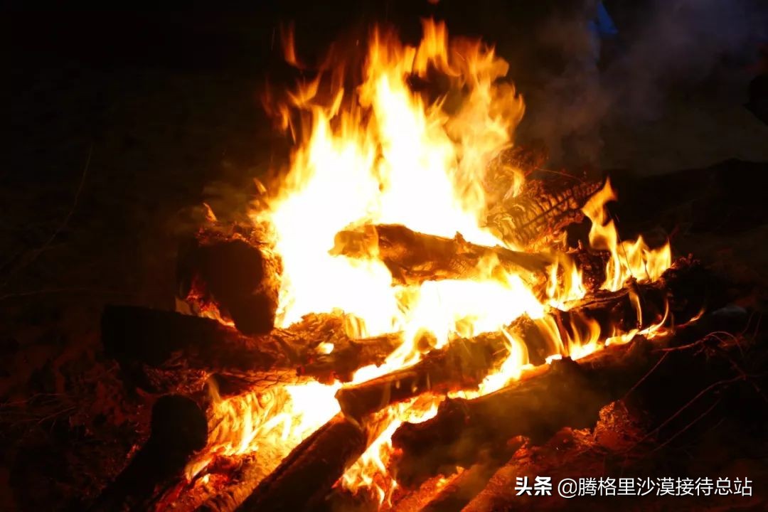 生活篝火晚会,一场蓄谋已久的狂欢篝火晚会