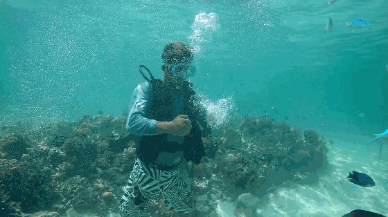 塞班岛旅游攻略四日游路线推荐,塞班岛免签自由行攻略