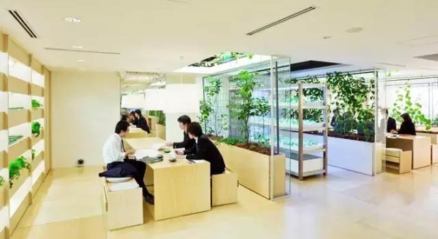 办公室里也能开挖掘机,办公室可以种葡萄