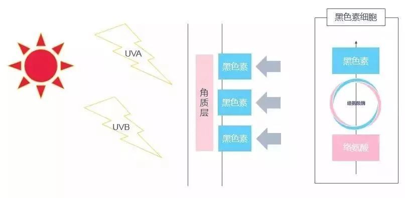 肤色不均暗沉痘印痘坑怎么调理,肤色不均是水油不平衡吗