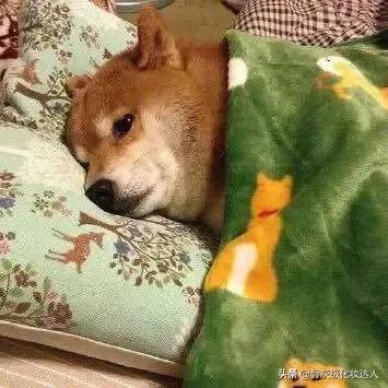 越贵的口红质量越好吗,几十块钱的大牌口红是真的吗