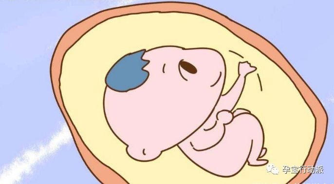 孕期周刊第93周,孕期日记第三十六天