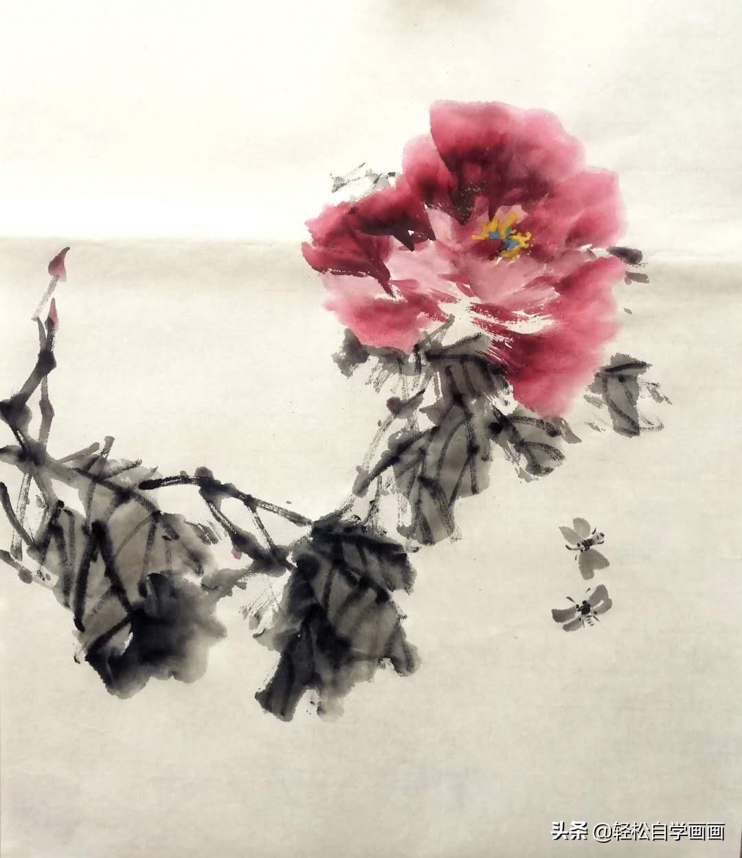 画牡丹如何加色能出层次,画牡丹调色运笔