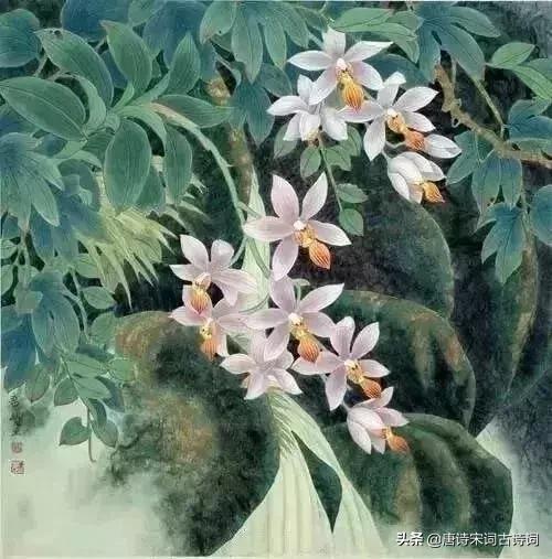 古人幽默古诗,趣味古诗跟读