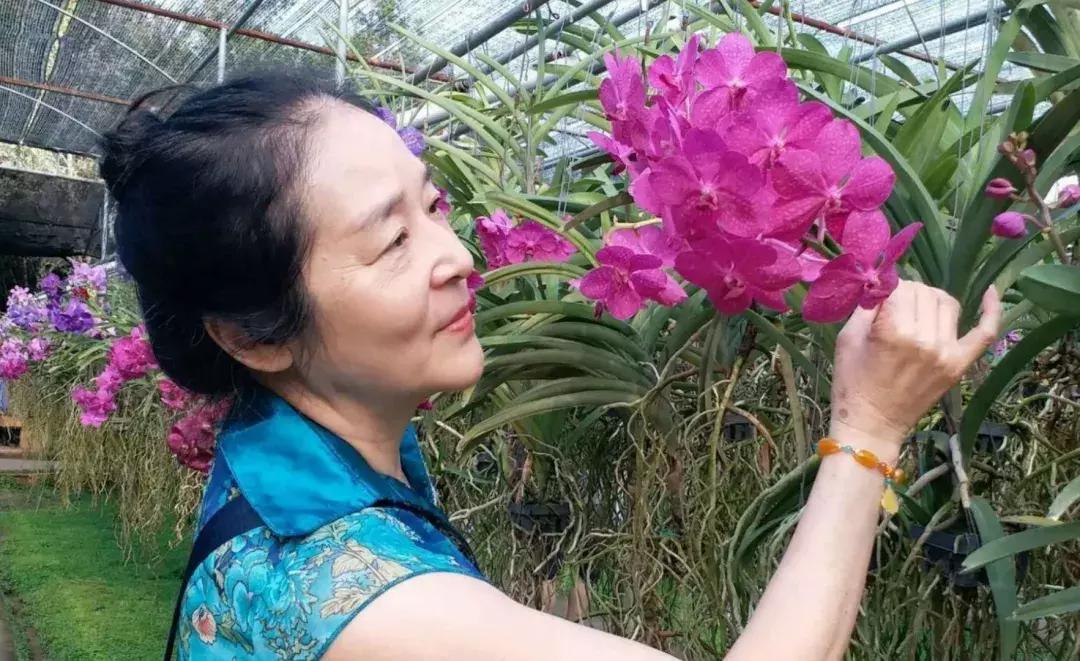 中国大妈外出旅游标准动作合辑！炫翻天！