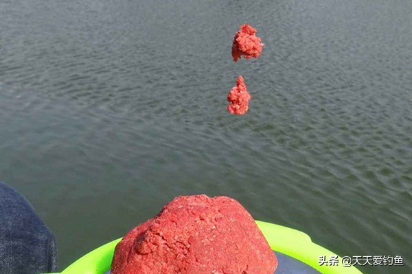 窝点有鱼不吃钩怎么办,钓鲤鱼守多久不咬钩换地方