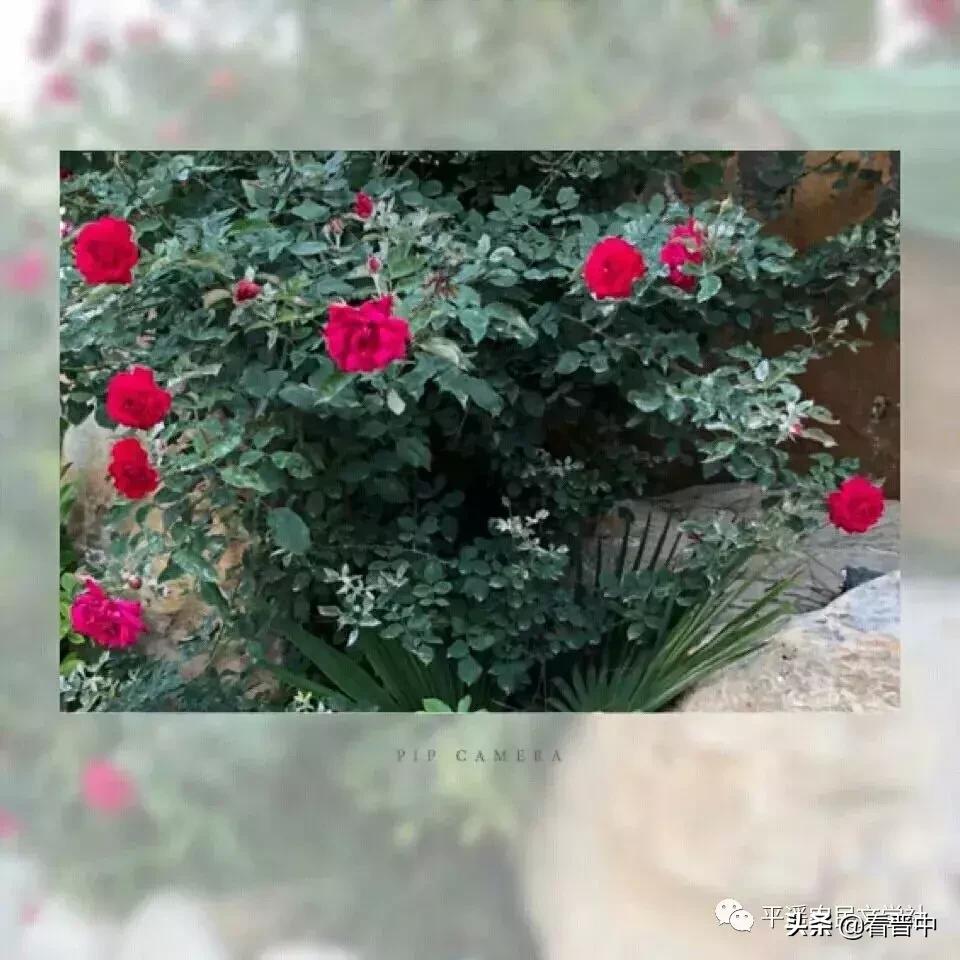 晋中婚宴,晋中旅行图文日记