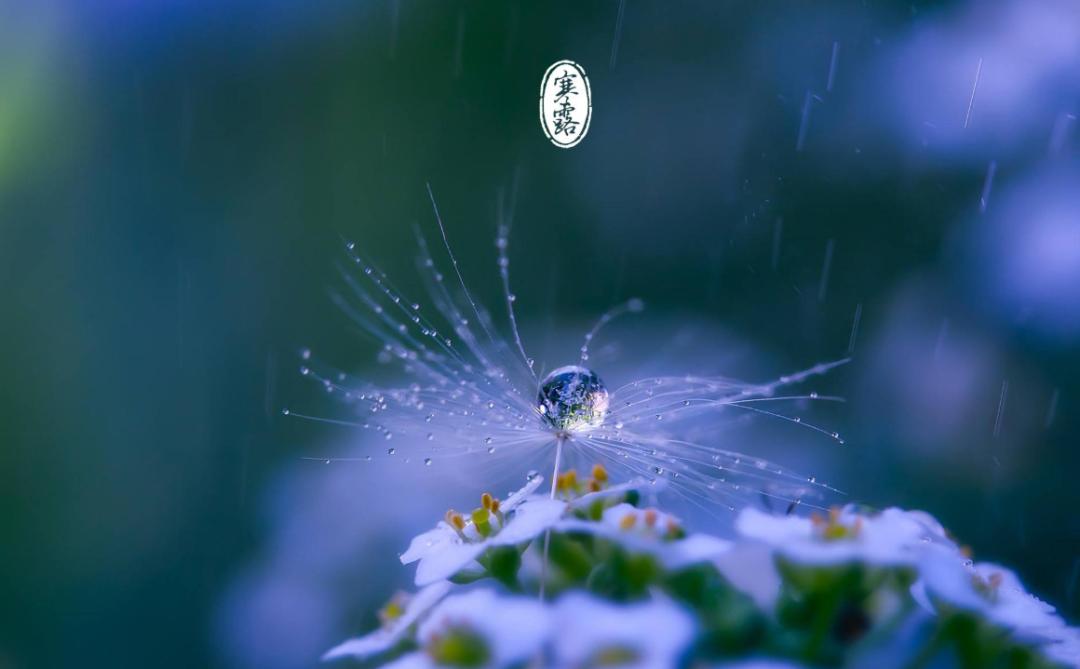 古人咏寒露的诗词,寒露古诗词鉴赏