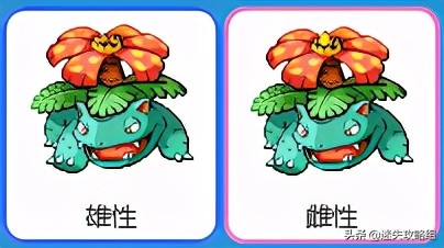 妙蛙种子不开花,妙蛙种子秘籍