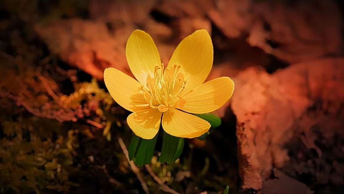 当一个人开始疏远说明什么,当一个人渐渐疏远你