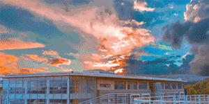 辽宁省高校（三十一）大连医科大学