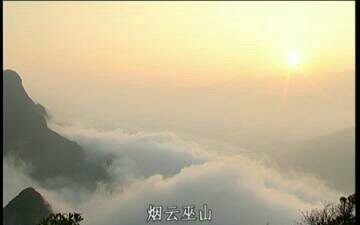 一朝春满暗香来——月溶溶《月华水光》词集