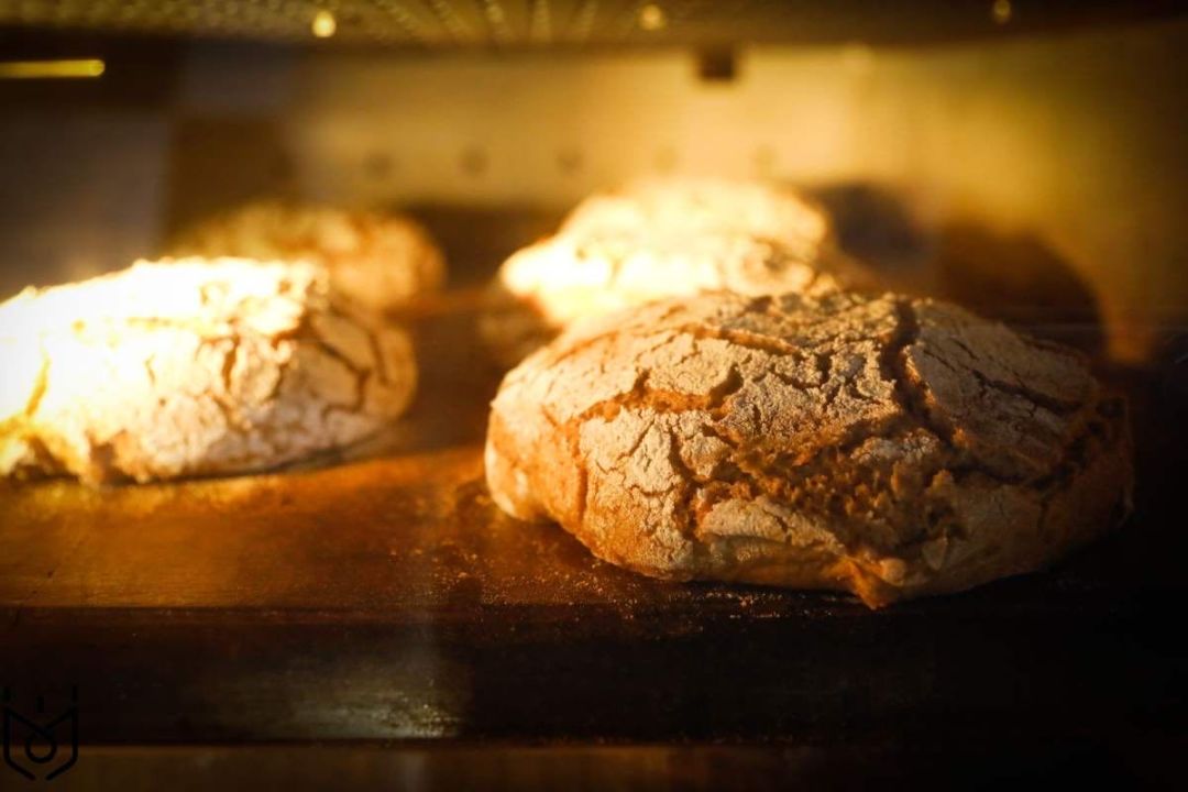 面包知识大全及答案,法式面包的烘焙技术