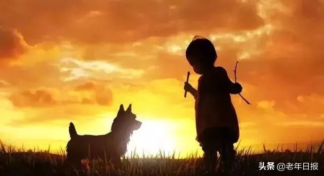 17篇情感微小说，短到极致，却催人泪下，看完泪眼模糊