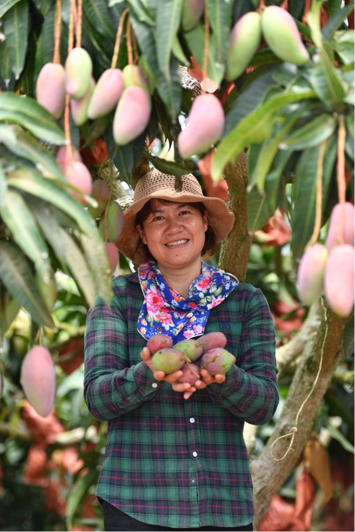 拼多多618爆发有多夸张,拼多多618数据趋势