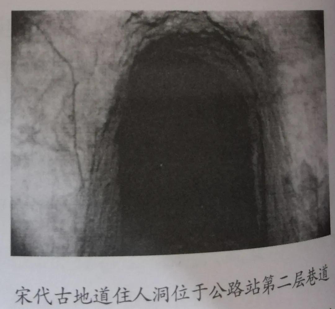 70年峰峰人|“峰峰*物文**第一人”带你走近神秘惊险的文保世界