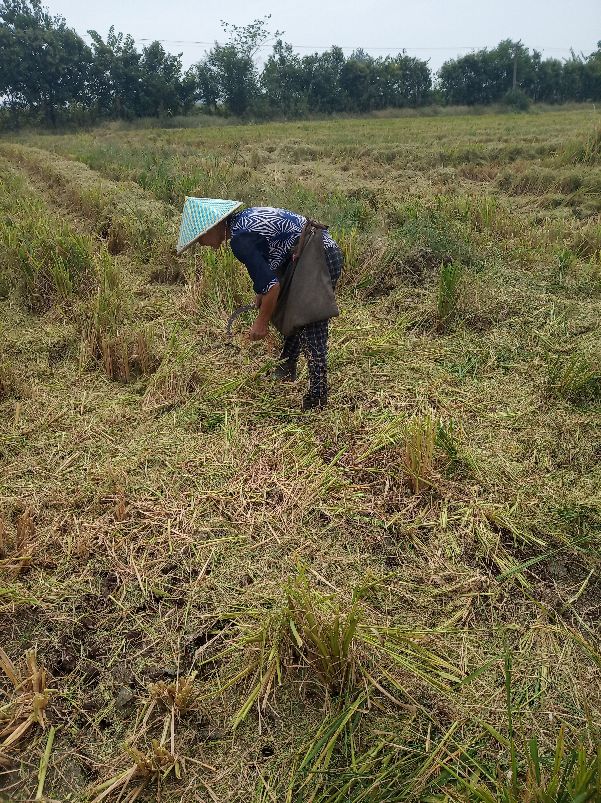 农村出嫁女因为土地吵架如何解决,农村嫁出去的女儿没有土地