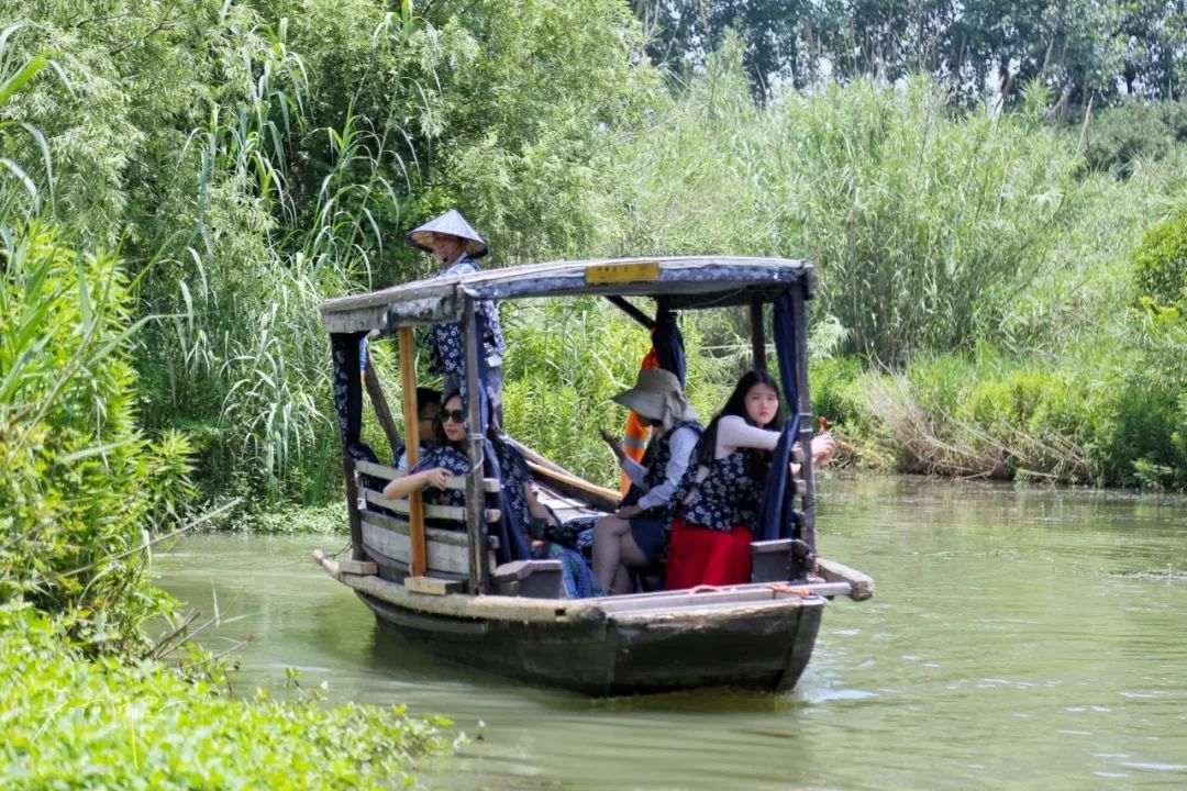 带你走进沙家浜景区,带你走进沙家浜风景区