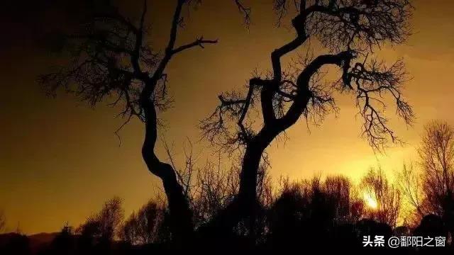 宁夏：相遇在泾源，邂逅人间最美的风景