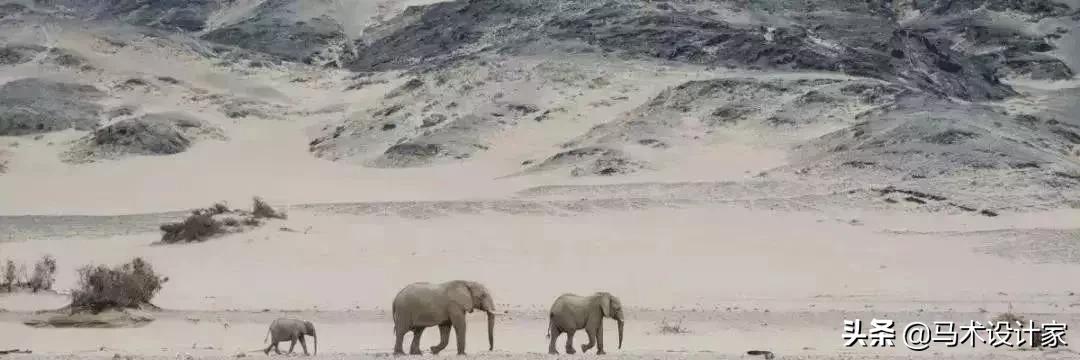 有创意的小屋设计,超有创意的小别墅