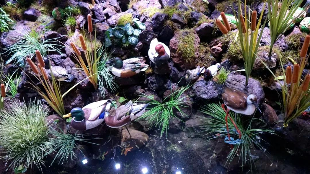 瞒不住了，孙悟空来聊城了，还带着“花果山”