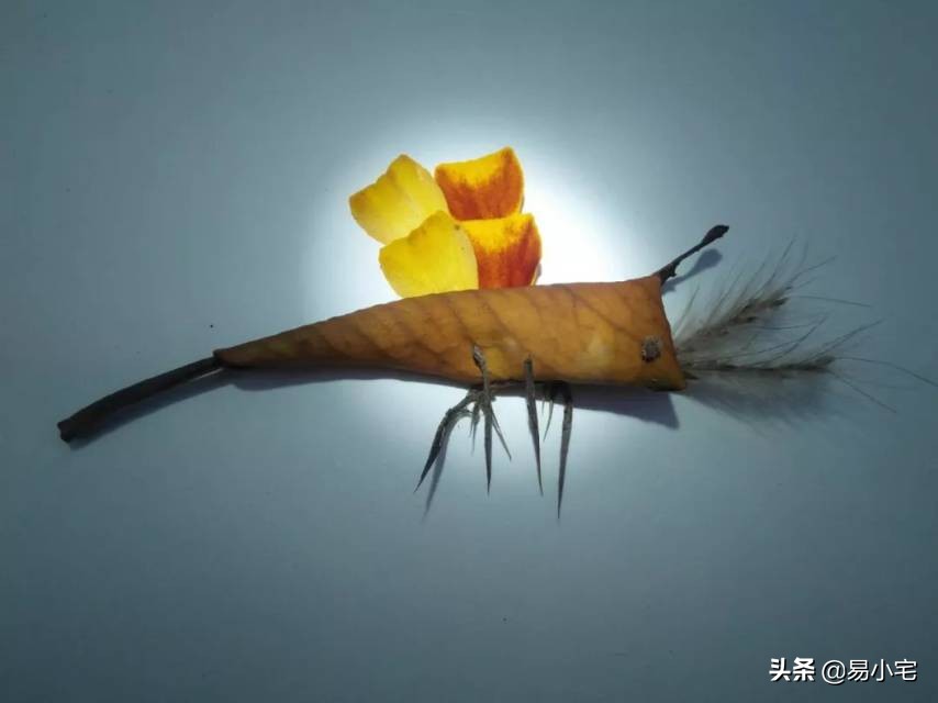 阿土|荒野生活/从城市白领到山中野人