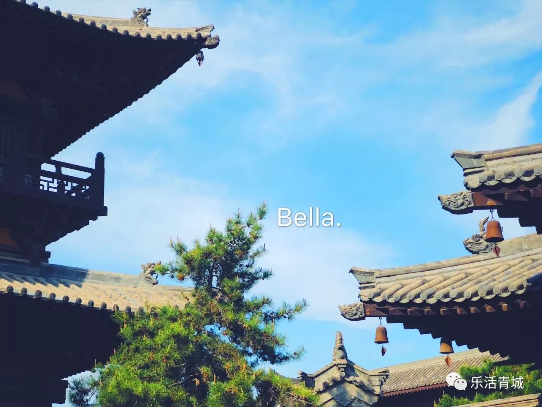 贝拉专访合集,贝拉专访完整版