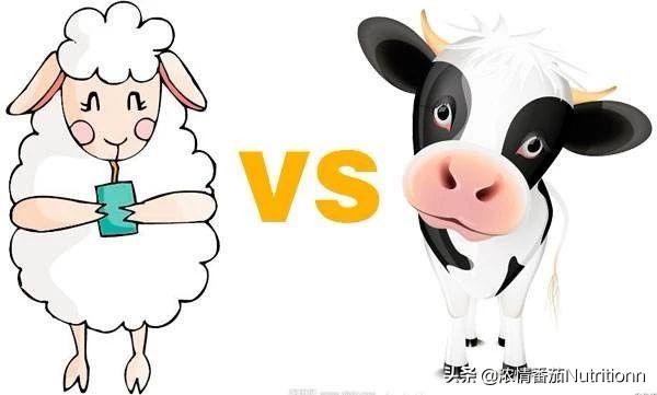 免疫球蛋白羊奶粉营养价值,羊奶粉和牛奶粉哪种营养价值更高